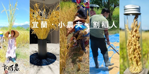 event-banner-【SDGs2.4｜3小時｜割稻】小農夫，暑假來宜蘭當一回割稻人