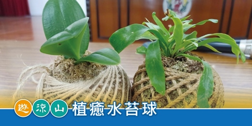 event-banner-遊涼山．手作趣｜植癒水苔球