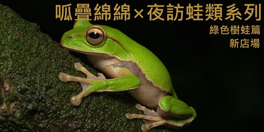 event-banner-呱疊綿綿 — 夜訪蛙類系列 新店場｜珍貴稀有保育類青蛙篇
