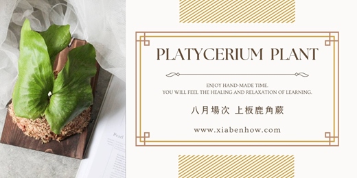 event-banner-【台北八月場次】下班隨手作 ‖ 手作課程-上板鹿角蕨