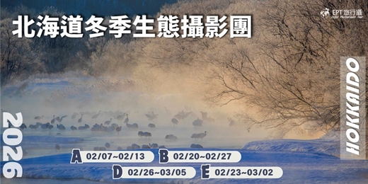 event-banner-2026｜北海道冬季生態攝影團｜專業攝影師帶隊｜A、B、D、E