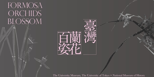 event-banner-【《臺灣蘭花百姿》專家座談會】臺灣蘭花百姿：蘭花博物誌的臺灣視角