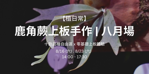 event-banner-【植日常】鹿角蕨上板手作 | 八月場