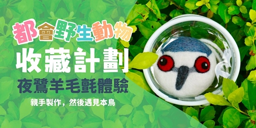 event-banner-夜鷺羊毛氈體驗-都會野生動物收藏計畫 【山下無人x夜森活Yay WildLife】