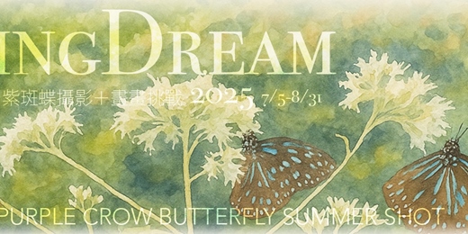 event-banner-《飛舞的夢境》紫斑蝶攝影＋畫畫挑戰 Deer Valley Purple Butterfly Summer Shot