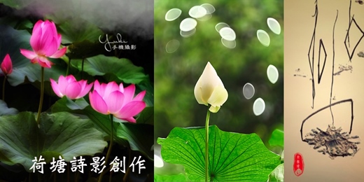 event-banner-荷塘詩影創作