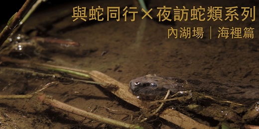 event-banner-與蛇同行 — 夜訪蛇類系列 內湖場 | 海裡篇