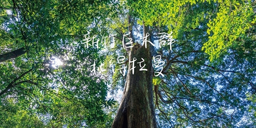 event-banner-【新竹神木群】北得拉曼巨木步道┃山行旅