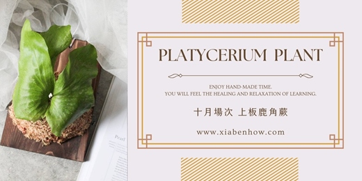 event-banner-【台北十月場次】下班隨手作 ‖ 手作課程-上板鹿角蕨