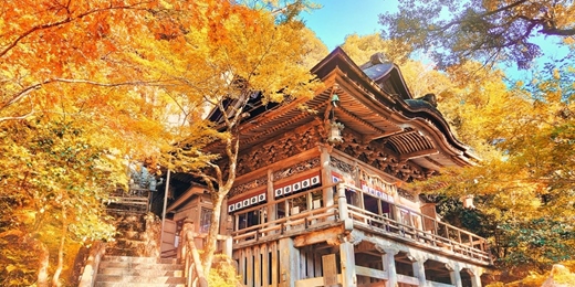 event-banner-【高豐運動旅遊】日本秋楓分享會✨
