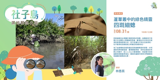 event-banner-社子島濕地解說小築｜8月份環境講座 - 蘆葦叢中的綠色精靈—四斑細蟌